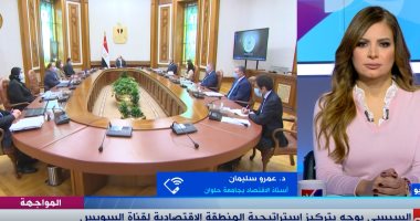 أستاذ اقتصاد: مصر الاعلى أفريقياً فى جذب الاستثمارات