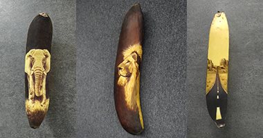 مش بالألوان والرصاص وبس.. بريطانية تبدع فى الرسم على الموز.. آنا شوجنيكا تستغل إغلاق كورونا لتمارس هوايتها.. تُعرض قشر الفاكهة للأكسدة لمساعدتها فى أعمالها الفنية.. ولا تتخلص من الثمرات بعد الرسم عليها.. صور