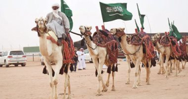 القبض على المتهمين باعتراض "إبل" وإطلاق نار بمهرجان الملك عبدالعزيز بالسعودية