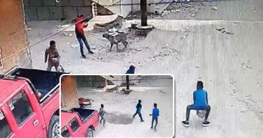 هجوم السلعوة على مناطق بقنا.. حيوان مفترس يعقر 10 أشخاص بينهم أطفال بالحصواية.. الأمن يقضى عليها بعد مطاردتها..وأخرى تظهر بقفط وتصيب طفلين..جهود مكثفة للعثور عليها.. وطبيب بيطرى: تجمع بين شراسة الذئب وقوة الكلب