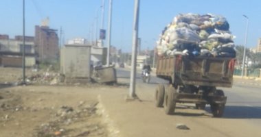 حملات نظافة مكبرة بمركز ومدينة المحلة.. صور