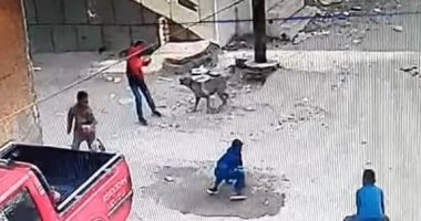 سلعوة جديدة تظهر فى قرية الكلاحين بقنا وتهاجم الأطفال