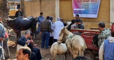5 قوافل بيطرية مجانية بالقرى الأكثر احتياجا فى الشرقية