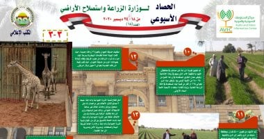 الزراعة × أسبوع.. وصول 3 زرافات لحديقة الحيوان بقيمة 2 مليون دولار