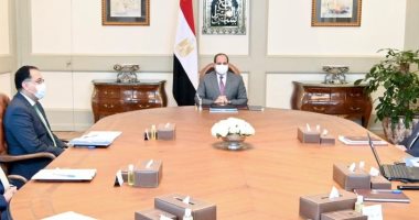 الرئيس يستعرض مشروعات المزارع السمكية بالتعاون مع الخبرة الأجنبية