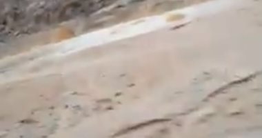 هطول أمطار ما بين خفيفة ومتوسطة بالمناطق الصحراوية بطريق سفاجا - قنا