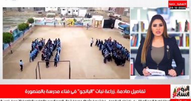 زرعوا بانجو فى حوش مدرستهم.. ماذا حدث مع المتهمين؟.. فيديو