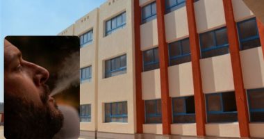 زرعوا المدرسة بانجو.. مديرة مدرسة بالمنصورة وعامل يتهمان أمين مكتبة ومشرف وسائل بزراعة بانجو داخلها.. المباحث تضبط 26 شجيرة.. المتهمان زرعا النبات المخدر فى الفناء داخل "أصيص" زينة.. والنيابة تطلب التحريات