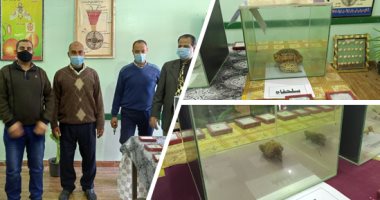 متحف الأحياء بالمدرسة الثانوية الزراعية بقلين مزار تعليمى للباحثين وطلاب المدارس.. يدعم قدرات الطلاب فى التعرف على الكائنات الحية ومشاهدة نماذج حقيقية عن قرب.. والذئاب والثعابين والتماسيح المحنطة أبرز المعروضات