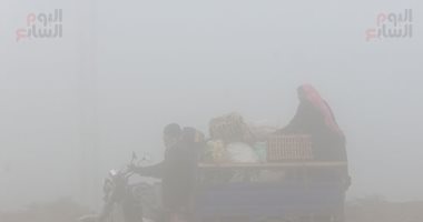 غدا طقس مائل للدفء نهارا وشبورة كثيفة بكافة الأنحاء والصغرى بالعاصمة 12 درجة