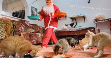 بابا نويل يحتفل بالسنة الجديدة فى ملجأ للقطط وهدايا الكريسماس عيش وتونة