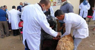 قافلة بيطرية مجانية بقريتى 2 و 4 بناحية بحر البقر بمركز الحسينية الشرقية