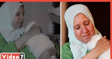 شادية وكلاب الشوارع قصة حب أقوى من البشر.. جمجمة كلب سبب تمسكها برعاية الحيوانات.. بتأكلهم فراخ ودراى فود وبتلعب معاهم.. بسبب كورونا تتبناهم بالبيت.. وتؤكد:هما مش عاوزين مننا غيرالرحمة وبنهار نفسيا لما بيتقتلوا
