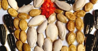 بالحبوب واللب.. "منى" تشارك صحافة المواطن برسومات من الطبيعة