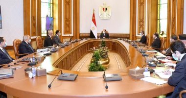 الرئيس السيسى يوجه بتكثيف تدريب العاملين على الطرق العلمية الحديثة فى الإدارة