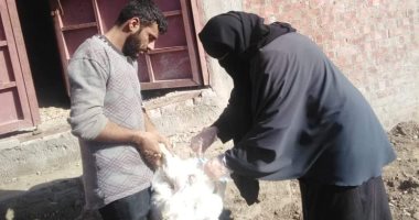 محافظ كفر الشيخ: تحصين 47030 طائراً ضد الأمراض الوبائية
