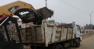 صور.. حملات نظافة وتجميل ورفع كفاءة الإنارة بكفر الشيخ