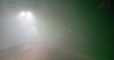 شبورة كثيفة على الطريق الدولى الساحلى "كفر الشيخ - بلطيم".. فيديو