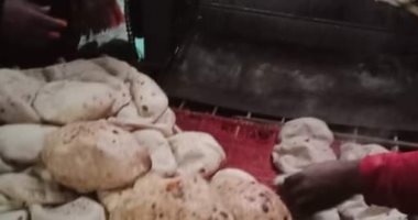 رئيس مدينة ملوى: فتح المجازر وحملات مكثفة على المخابز البلدية والأسواق