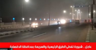 شبورة مائية كثيفة تغطى الطرق والمحاور الرئيسية بالدقهلية.. فيديو وصور