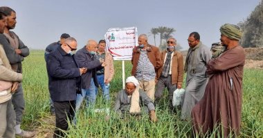 زراعة بنى سويف تنظم يوم إرشادى وخدمات بيطرية بقرية هرم ميدوم.. صور