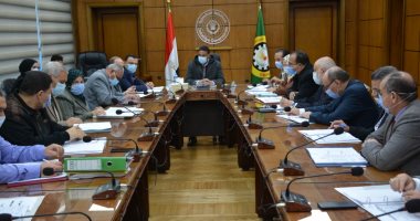 محافظ الدقهلية يطالب بسرعة الانتهاء من مشكلات الكهرباء بالمنطقة الصناعية بجمصة