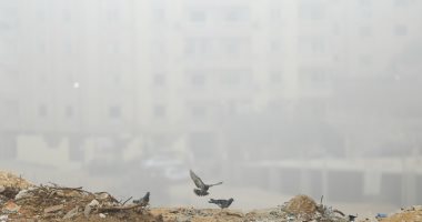 درجات الحرارة الأحد فى مصر.. طقس دافئ على القاهرة الكبرى والوجه البحرى 