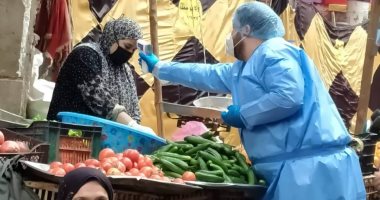صور.. حملة شبابية بقرية دروة بالمنوفية للتوعية عن مخاطر فيروس كورونا
