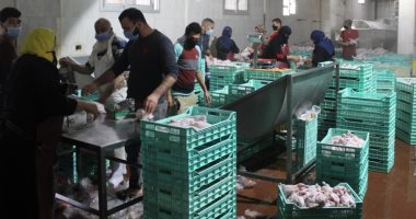 ضبط لحوم منتهية الصلاحية ومخالفات فى 3 مصانع بالمنطقة الصناعية بالإسكندرية