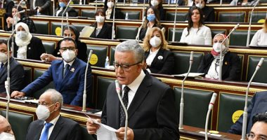 مفتى الجمهورية يهنئ جبالى برئاسة مجلس النواب.. ويؤكد: تكليلا لمسيرته القضائية