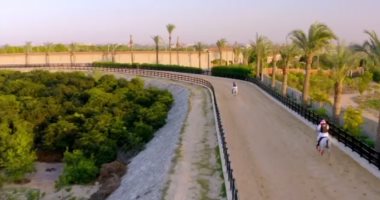 مربط الجوهرة يكشف عن نقلة جديدة فى مجال صناعة الخيل المصرى الأصيل (فيديو)