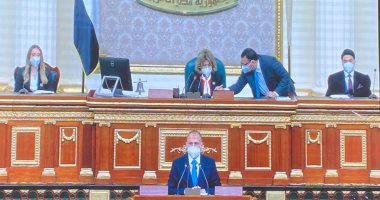 التنبيه على نواب الفردى بالدخول للقاعة لبدء الجلسة الافتتاحية لبرلمان 2021