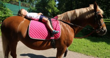 العلاج بالخيل.. أحدث صيحات التأهيل الحركى لذوى الهمم