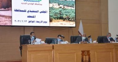 محافظ الوادى الجديد يقرر سحب كافة أراضى مبادرة النخيل من المستثمرين غير الجادين