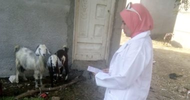 تحصين 7473 رأس ماشية ضد الحمى القلاعية والوادى المتصدع بالبحيرة