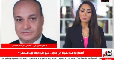 لو معاك 50 ألف جنيه تستثمرهم إزاى؟.. سكرتير شعبة الذهب يجيب فى لقاء بتلفزيون اليوم السابع