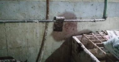 صحة بنى سويف تحرر 20 محضر لمنشآت غذائية وتعدم منتجات فاسدة.. صور