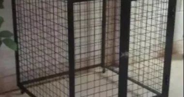 عائلة فلبينية قاسية تضع ابنتها فى قفص لمدة 5 سنوات.. اعرف القصة