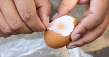 القلق من تناول الأطعمة الغنية بالكوليسترول.. هل يعتبر أمرا صحيا؟