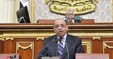 وزير التنمية المحلية يكشف خطة تأمين المنشآت الحيوية وتوطين الخدمات بالمحافظات 