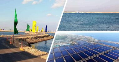 الخير جاى.. الاستزراع السمكى بشرق بورسعيد خطوة نحو الاكتفاء الذاتى.. طاقة إنتاج تنهى الفجوة بين الإنتاج والاستهلاك وتصدير الفائض للأسواق العالمية.. توفير 10 آلاف فرصة عمل.. والرئيس يولى اهتمامًا كبيرًا بالمشروع