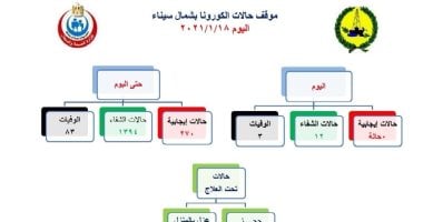 تسجيل 12 حالة شفاء ووفاة 3 أشخاص بفيروس كورونا فى شمال سيناء 