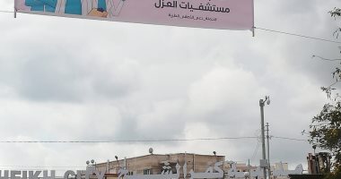 محافظ كفر الشيخ يشيد بلافتات شكر الأهالى للأطقم الطبية بمستشفيات وأقسام العزل.. صور