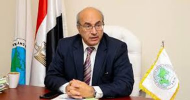 الاتحاد الأفرو أسيوى للتأمين: إنشاء شركة عربية لإعادة التأمين يدعم القطاع 