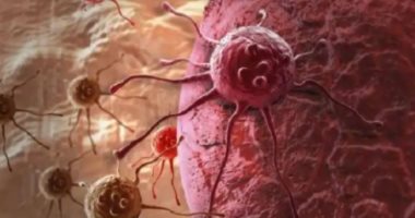 علماء هنود يطورون بكتيريا عمرها 50 عاما للمساعدة فى علاج السرطان