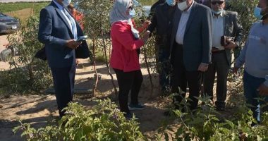 محافظ جنوب سيناء: مقترح لزيادة زراعة بعض أنواع النباتات التى تجود زراعتها بالطور