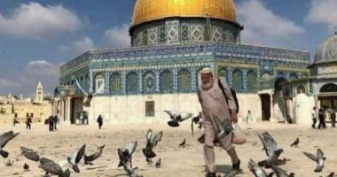 وفاة "أبو هريرات الأقصى" متأثرا بإصابته بكورونا.. اعرف قصة إطعامه الطيور والقطط