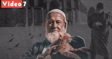 رحيل "أبو هريرات الأقصى".. مُطعم القطط والطيور.. فيديو