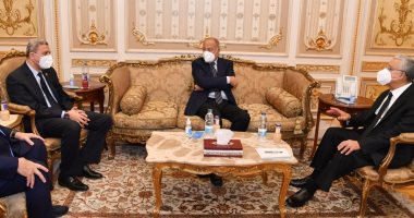 صور.. جبالى لأبو الغيط: مصر لا تدخر جهداً لدعم القضايا العربية    