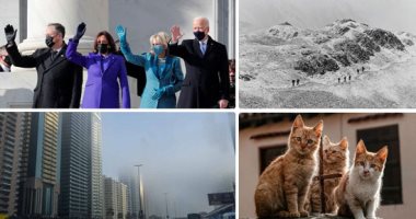 العالم هذا المساء ..الضباب الكثيف يغطى سماء الإمارات فى مشاهد ساحرة.. قطة الكاميرا والسباحة بالمياه المتجمدة وتنصيب بايدن أبرز أحداث خطفت عدسة المصورين هذا الأسبوع.. 800 قط بلا مأوى في قبرص بعد تخلي البشر عنهم